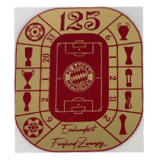 24-25 Bayern 125th Anniversary Women Soccer Jersey (女)
