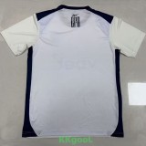25-26 Botafogo Beige Training shirts