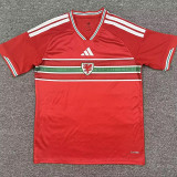 26-27 Wales Home Fans Soccer Jersey