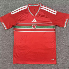 26-27 Wales Home Fans Soccer Jersey