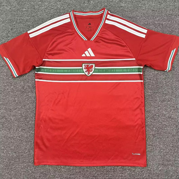 26-27 Wales Home Fans Soccer Jersey