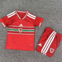 26-27 Wales Home Kids Soccer Jersey