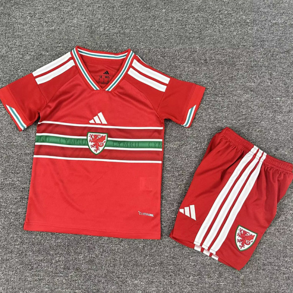 26-27 Wales Home Kids Soccer Jersey