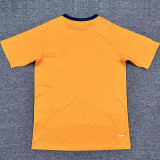 25-26 Cardiff City Third Fans Soccer Jersey