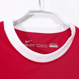 2010-2011 ARS Home Retro Soccer Jersey