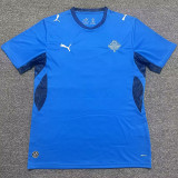 26-27 Iceland Home Fans Soccer Jersey
