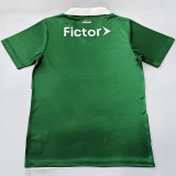 25-26 Palmeiras Green White Special Edition Fans Soccer Jersey