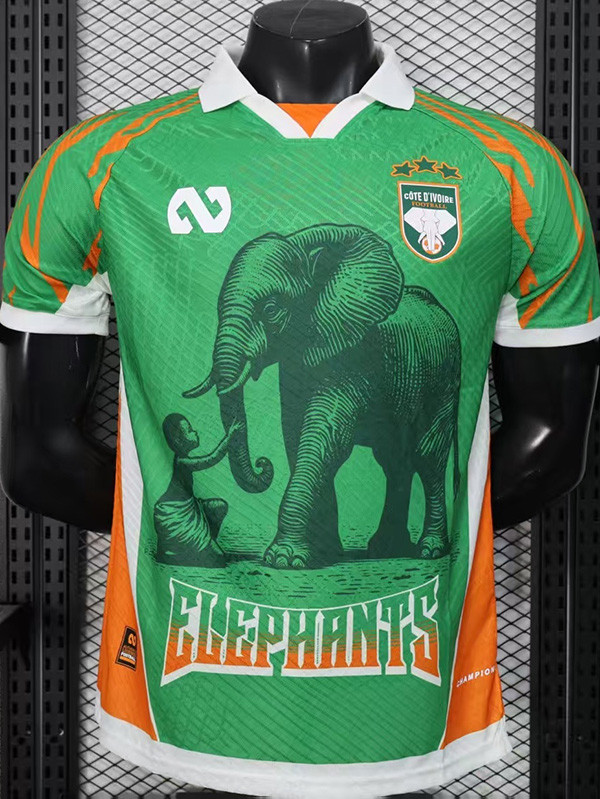 25-26 Ivory Coast Green Special Edition Player Version Soccer Jersey
