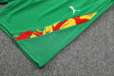 25-26 Senegal Green Training Short Suit