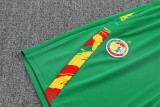 25-26 Senegal Green Training Short Suit