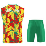 25-26 Senegal Green Tank top and shorts suit
