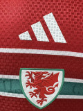 26-27 Wales Home Player Version Soccer Jersey
