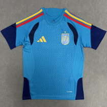 26-27 Spain Blue Training shirts