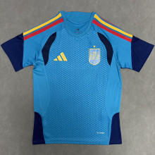 26-27 Spain Blue Training shirts