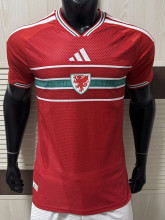 26-27 Wales Home Player Version Soccer Jersey