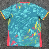 26-27 Cameroon Home Fans Soccer Jersey
