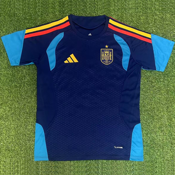 26-27 Spain Royal blue Training shirts