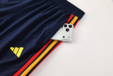 25-26 Spain Royal blue Hoodie Jacket Tracksuit