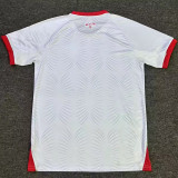 26-27 Jordan Home Fans Soccer Jersey