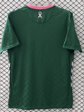 25-26 Saint Etienne Green Special Edition Fans Soccer Jersey