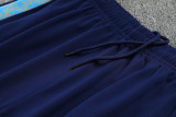 25-26 Marseille Royal blue Polo Tracksuit