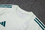 25-26 Al-Ahli Saudi Light green Training Short Suit #D25265