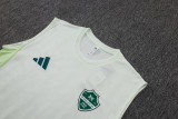 25-26 Al-Ahli Saudi Light green Tank top and shorts suit #D25262