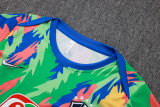 25-26 Brazil Green Training Short Suit #D25267