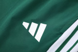 26-27 Algeria Green Hoodie Jacket Tracksuit