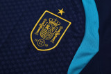 26-27 Spain Royal blue Training Short Suit