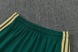 26-27 Italy Green Training Short Suit