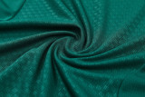 26-27 Italy Green Training Short Suit