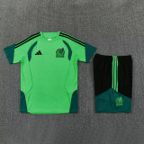 26-27 Mexico Green Training Short Suit
