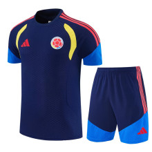 26-27 Colombia Royal blue Training Short Suit