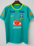 2024 Brazil Lake Green Retro Training shirts