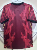 26-27 Brazil JD Red Special Edition Fans Soccer Jersey