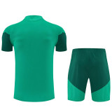 26-27 Algeria Green Training Short Suit