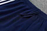 2026 AD Royal blue Jacket Tracksuit #2321