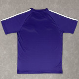 25-26 Scotland Casual Edition Purple Training shirts