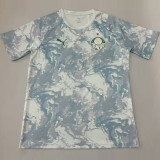 26-27 Palmeiras Grey Green Training shirts