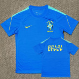 26-27 Brazil Blue Training shirts