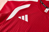 2026 AD12 Red Training Short Suit