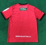 2024 Palestine Fans Version Soccer Jersey