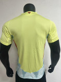 2024 Spain European Cup Away Player Version Soccer Jersey