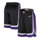 2024 Sacramento Kings Hot Pressing Top Quality NBA Pants