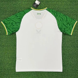 25-26 Ireland Away Fans Soccer Jersey