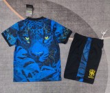 25-26 Brazil Special Edition Kids Soccer Jersey 1:1 Thai Quality