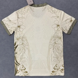 25-26 Brazil Gold Special Edition Training shirts