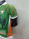 25-26 Cote d'Ivoire Green Special Edition Player Version Soccer Jersey
