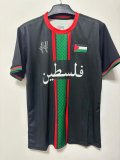 25-26 Palestine Special Edition Fans Soccer Jersey